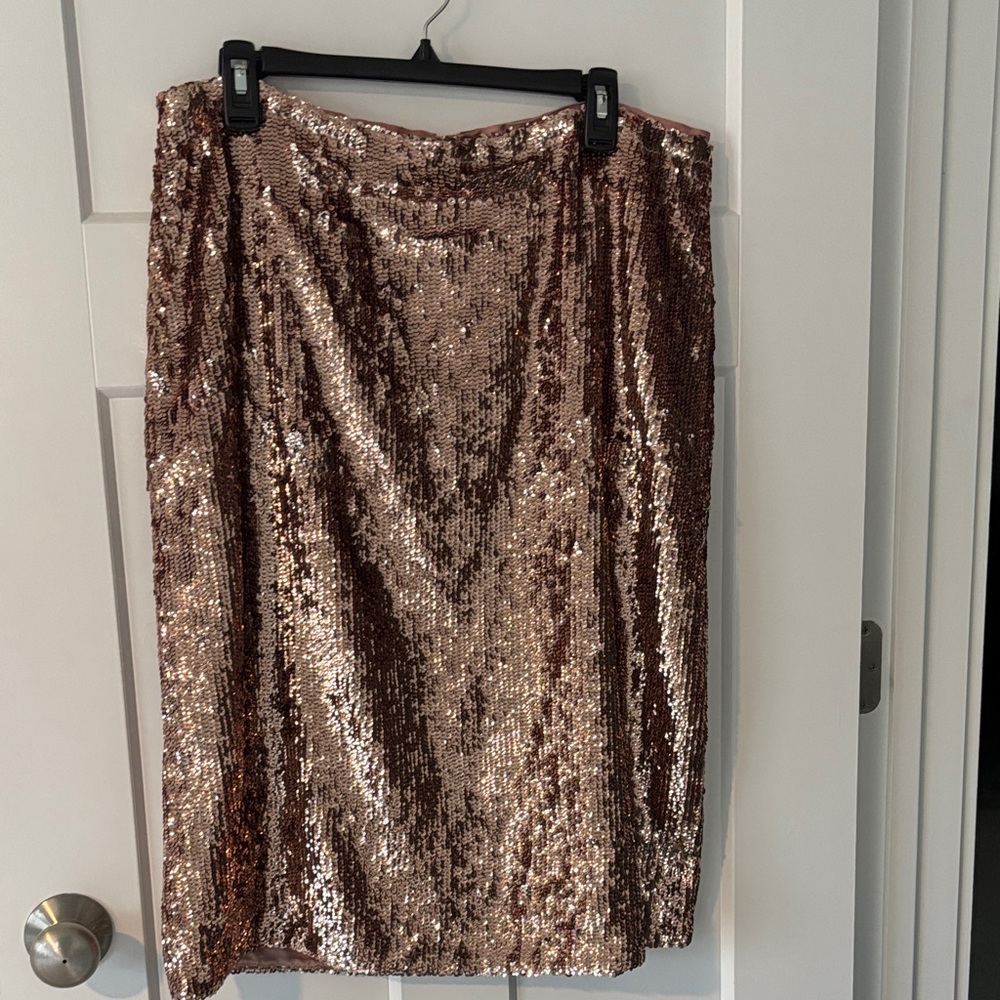 JCrew Sequined Skirt!